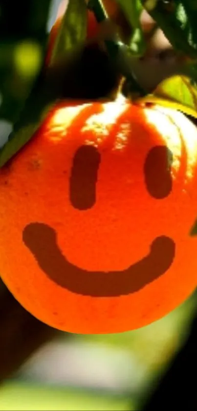 Cheerful orange with a smile and green leaves background.