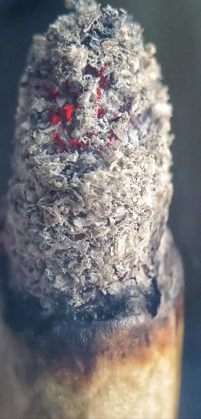 Close-up view of a burning cigarette with ash and ember.