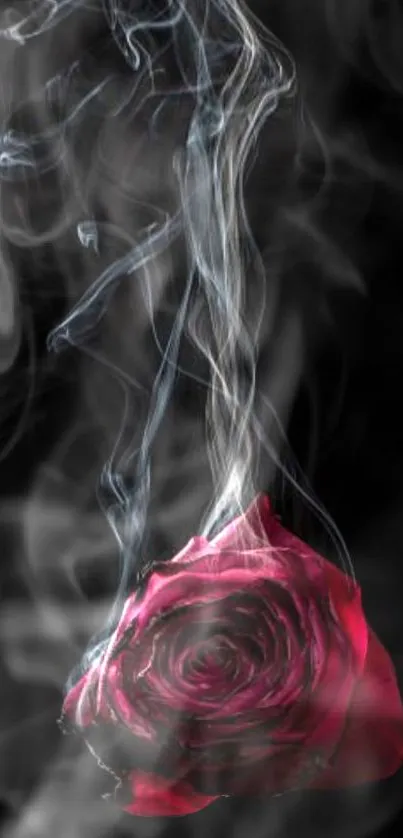 Artistic mobile wallpaper with a smoky rose on a dark background.