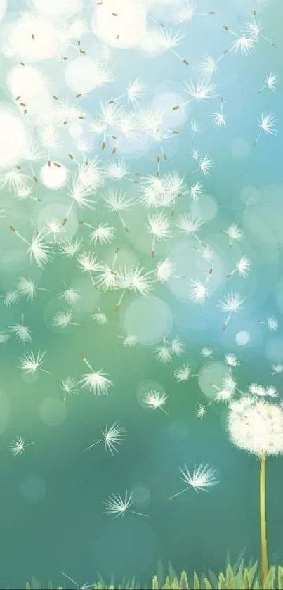 Tranquil teal wallpaper with dandelion seeds floating in the air.