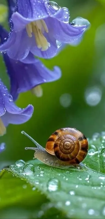Snail on a dewy leaf with blue flowers, nature wallpaper.