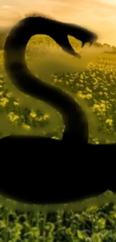 Snake silhouette over vibrant yellow field at sunset.