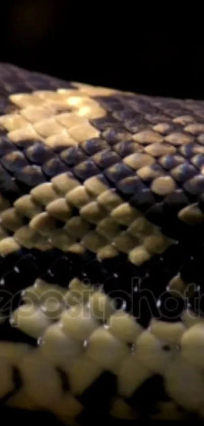 Close-up of dark brown snake skin texture on mobile wallpaper.