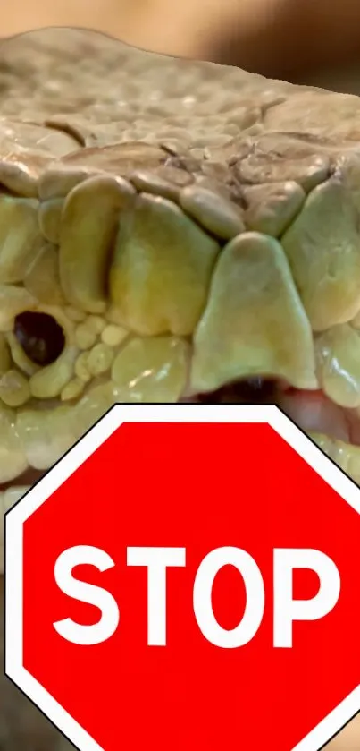 Close-up of a snake with a red stop sign overlay.