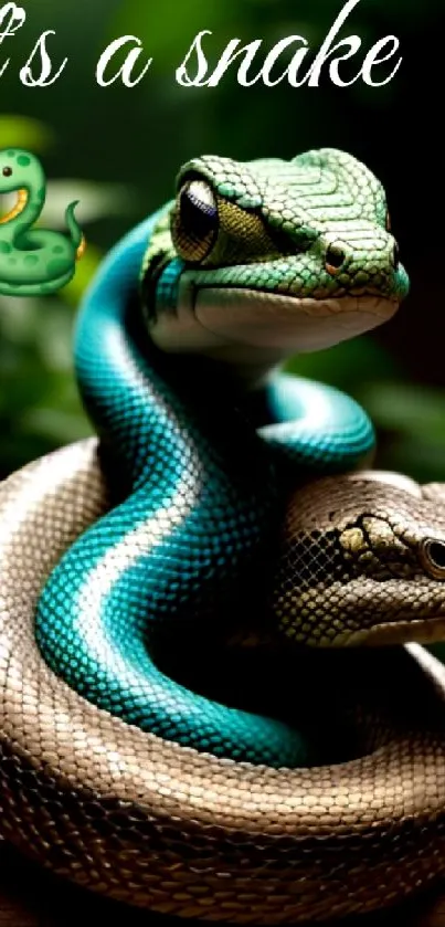 Snakes Reptile Vertebrate Live Wallpaper