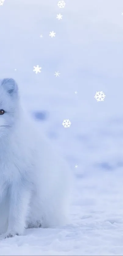 Snow Carnivore Arctic Fox Live Wallpaper