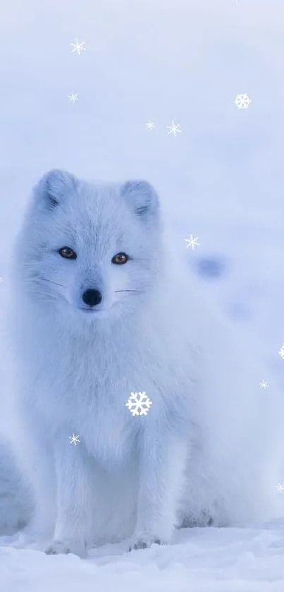snow ❄️ Live Wallpaper