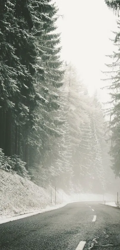 Snowy road winding through a quiet, misty forest.