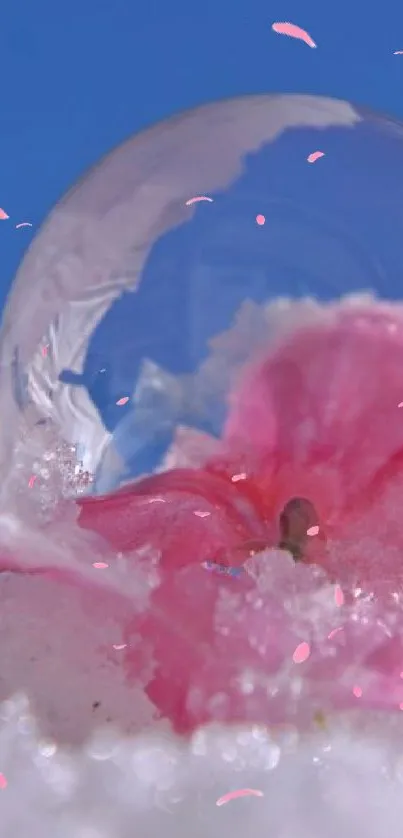 Pink flower in snow against a blue sky.