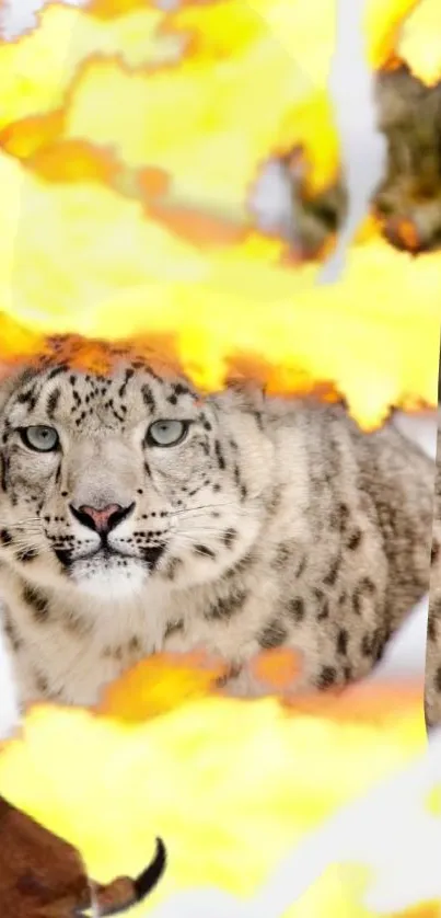 Snow leopard surrounded by autumn leaves.