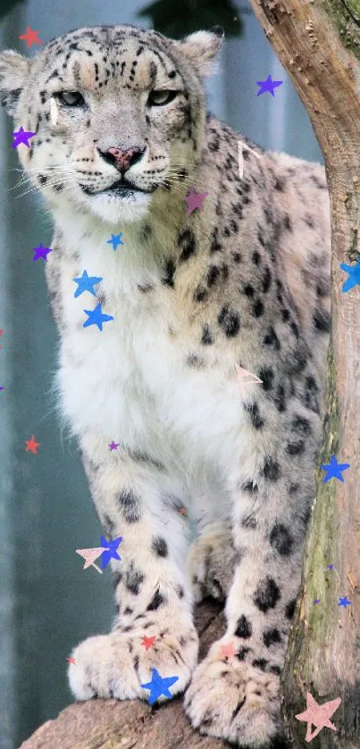 Snow leopard perched on a tree in a tranquil pose.