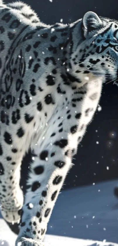 Snow leopard walking through snowflakes in a winter landscape.