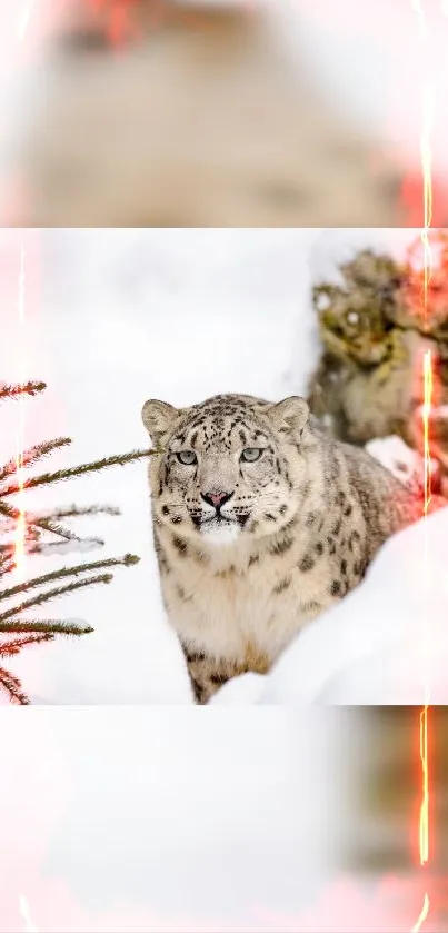 Snow leopard in snowy landscape with tree and warm light accents.