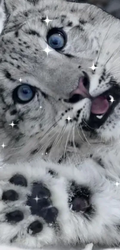 Snow leopard with blue eyes and sparkling stars in a serene, snowy setting.