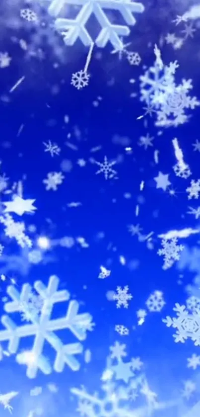 Blue background with floating snowflakes.