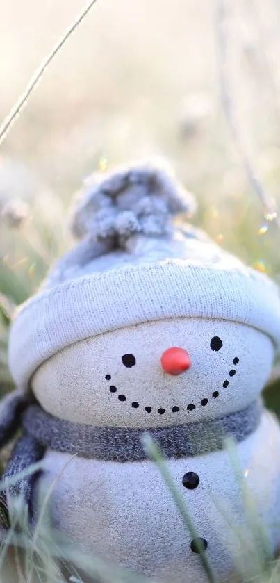 Cute snowman in a field of frosty grass.