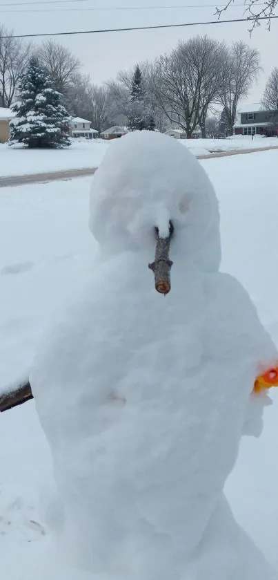 Charming snowman in a serene winter setting with snowy background.