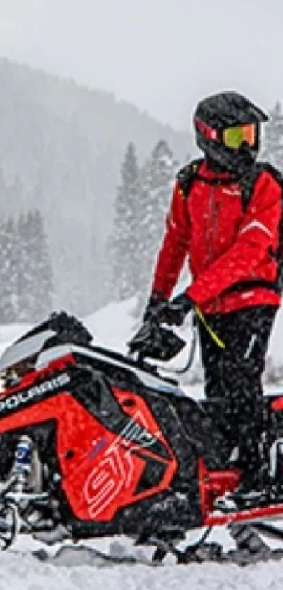 Snowmobile rider in red on snowy mountain landscape.