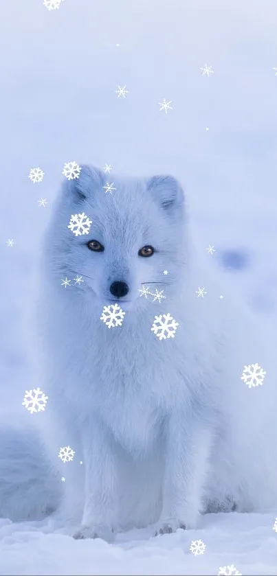 Snowy arctic fox in winter landscape wallpaper.