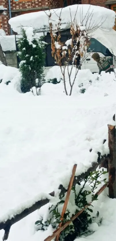 A peaceful snowy backyard scene with fences and leafless trees.