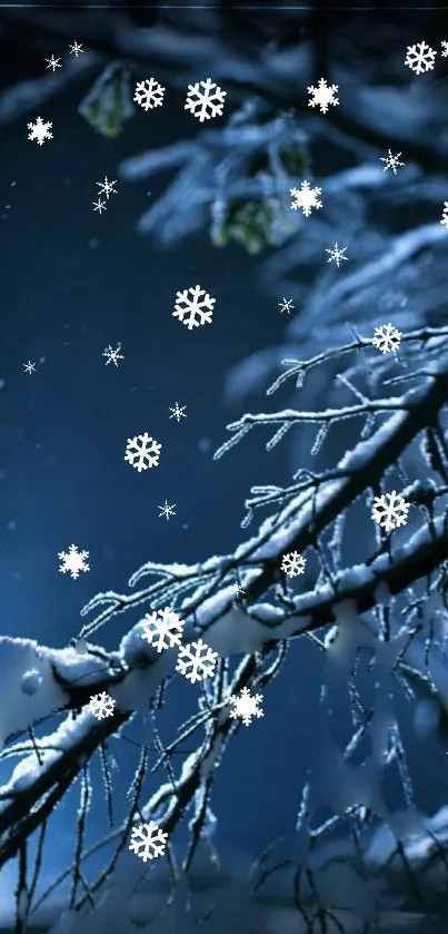 Snowy branches in a dark, winter forest wallpaper.