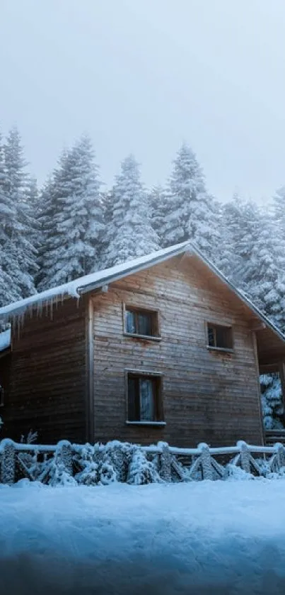 Charming wooden cabin surrounded by snow-covered forest trees.