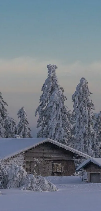 Snowy cabin and trees under a serene blue sky.