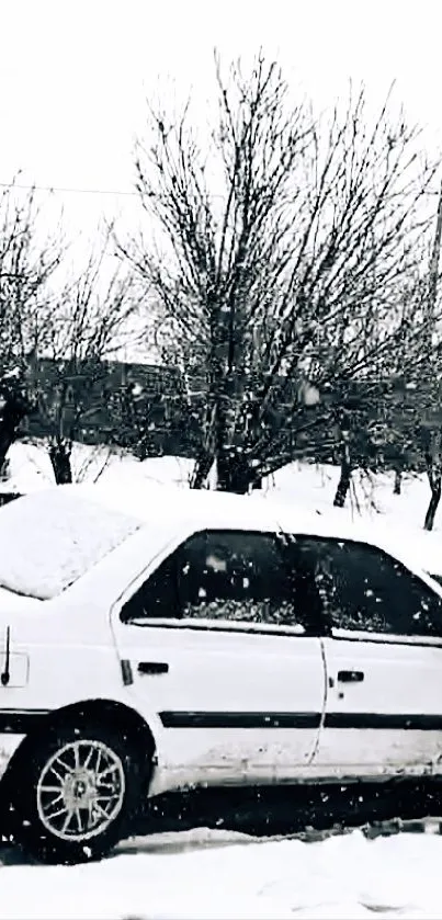 Classic car in a snowy winter landscape with bare trees.