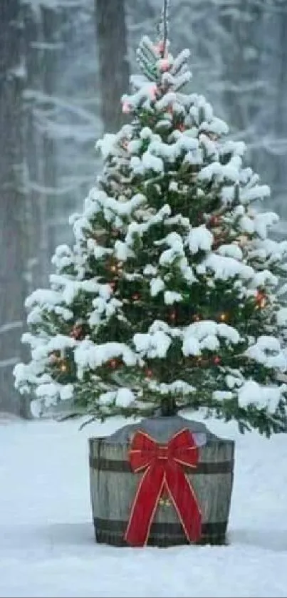 Snow-covered Christmas tree with red bow in wintry forest.