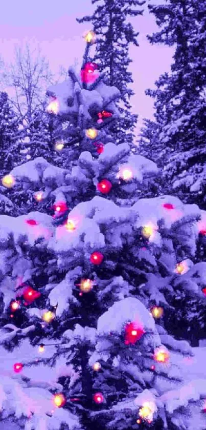 Snowy Christmas tree with colorful lights against a purple sky.