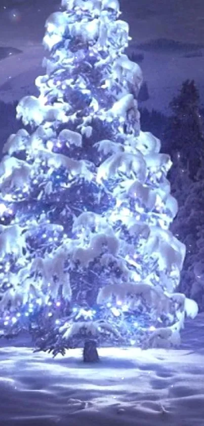 Snowy Christmas tree glowing in the night under a starry sky with a peaceful atmosphere.