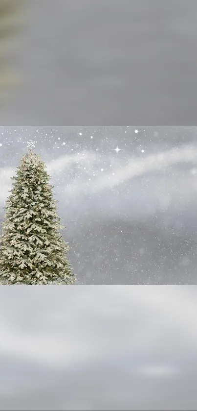 Serene snowy Christmas tree wallpaper with starry night sky.