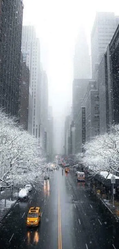 Urban street with snow-covered trees and taxis in winter.