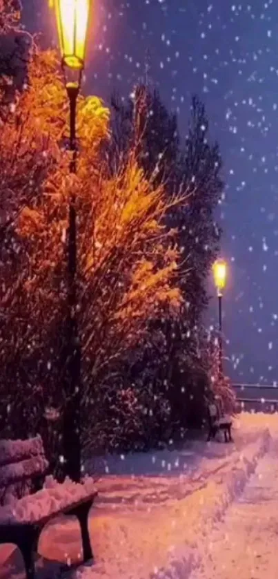 Snowy park evening with glowing streetlights.