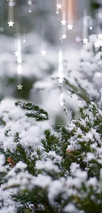 Snow-covered evergreens with twinkling stars.