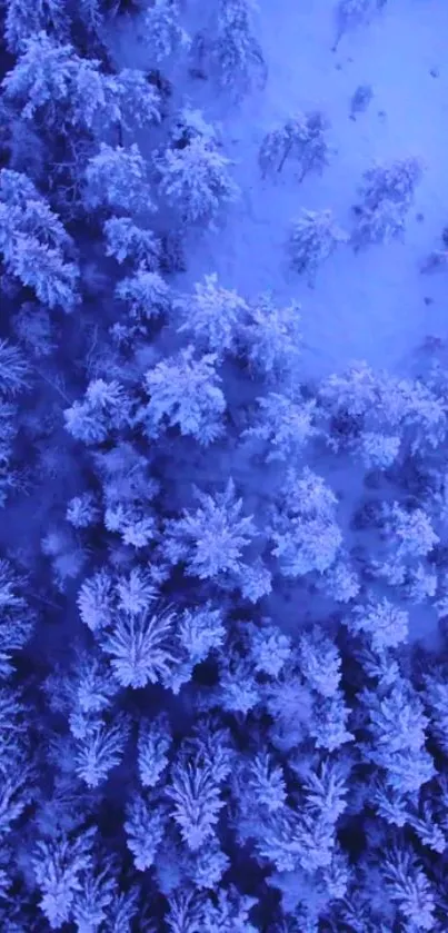 Aerial view of a serene snowy forest with lavender blue hues.