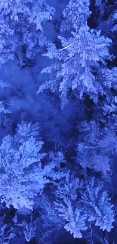 Aerial view of a snow-covered forest showcasing icy blue tree tops.