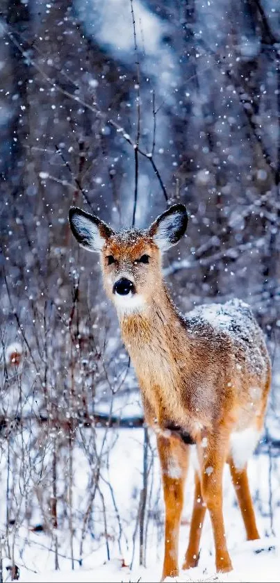 A deer stands in a snowy forest with falling snow, creating a tranquil winter scene.