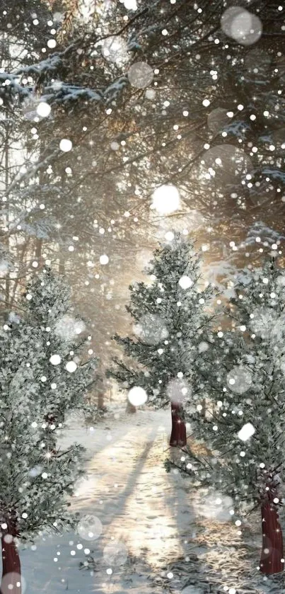 Serene snow-covered forest path with falling snowflakes.