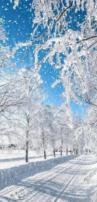 Snowy forest with clear blue sky, perfect for phones.