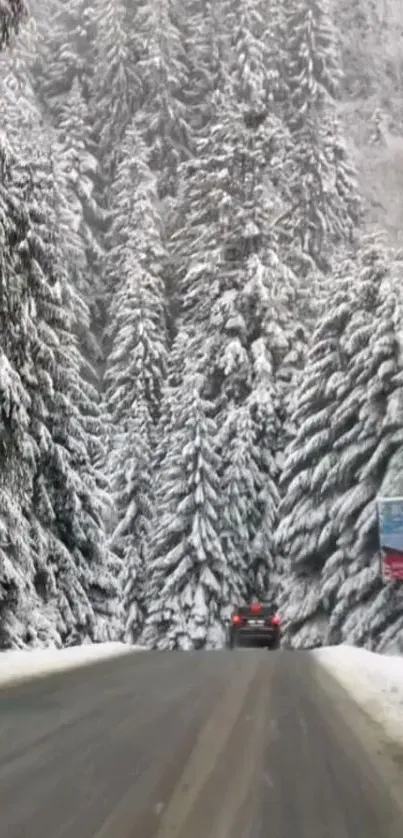 Snowy forest road with snow-covered trees and distant car.