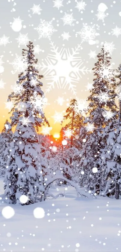 Snowy forest at sunset with white trees and a glowing sky.