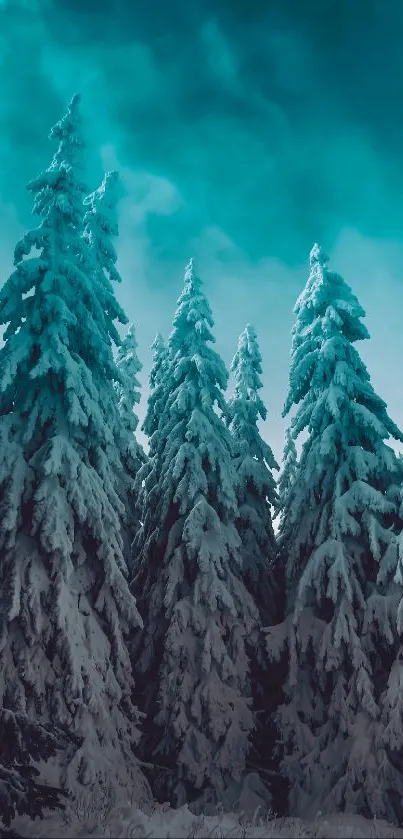 Snow-covered forest beneath a striking teal sky.