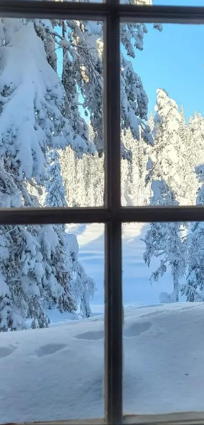 Snowy forest viewed through rustic window with clear blue sky.