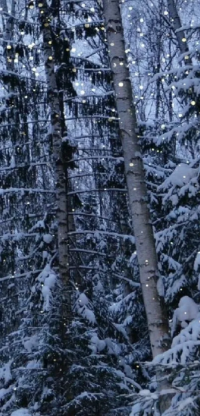 Snowy forest at night with snow-covered trees and twinkling stars.