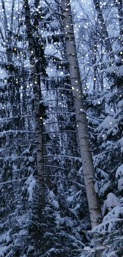 Snowy forest with birch trees in winter setting.