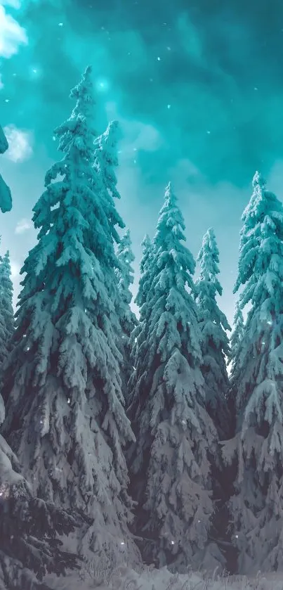 Snow-covered trees under a teal sky in serene winter forest scene.