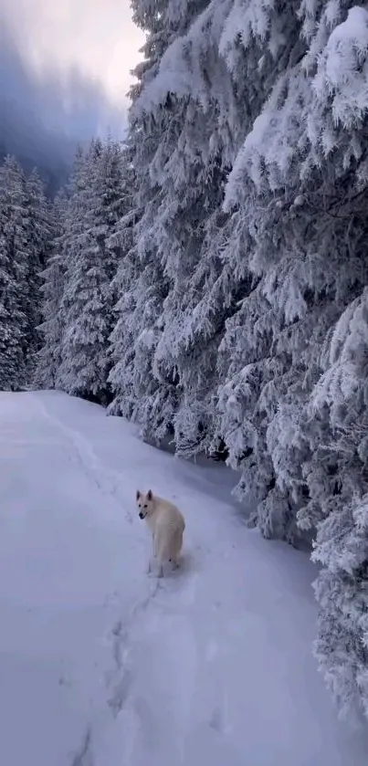 Snowy forest with white dog in winter scene.