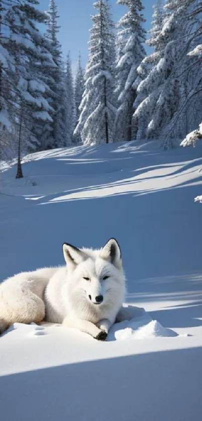 White fox resting in a snowy forest landscape.