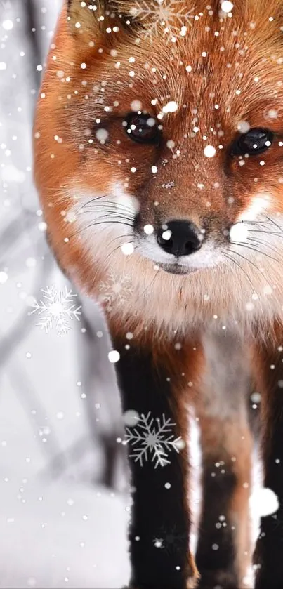 A fox standing in a snowy background, covered by falling snowflakes.